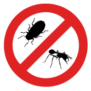 Best voted pest control in buford, georgia. Pest Control Buford GA - Mosquito & Termite - Buford Pest ...