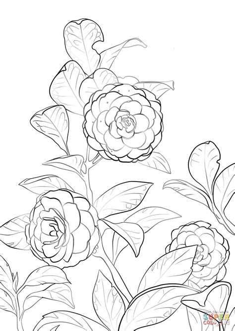 But also coloring pages created from photographs of tokyo or representing beautiful temples. Japanese Camellia coloring page | Free Printable Coloring ...