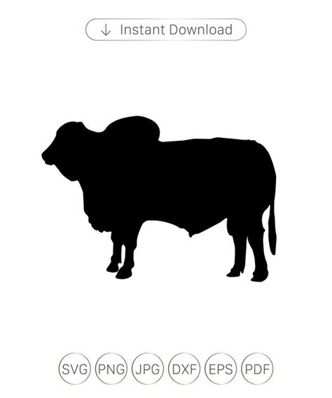 Brahman Bull Svg File Livestock Svg File File Cutting Etsy