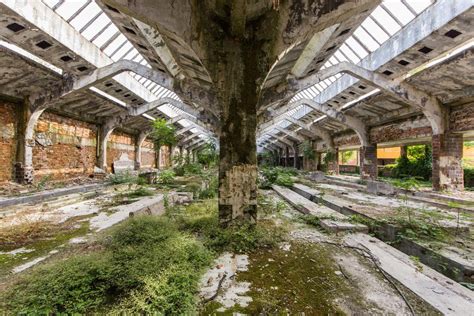 Nos talents et capacités atteignent vite leurs limites, si nous ne comprenons pas les bases du comportement humain. Quand la nature reprend doucement ses droits | fénoweb