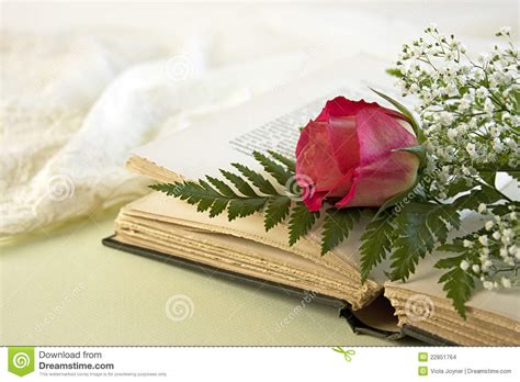 Nowadays 4 rose corespi libro contestado / nowaday. Libro Aperto E Una Singola Rosa Rossa Fotografia Stock - Immagine di rose, fragrante: 22851764