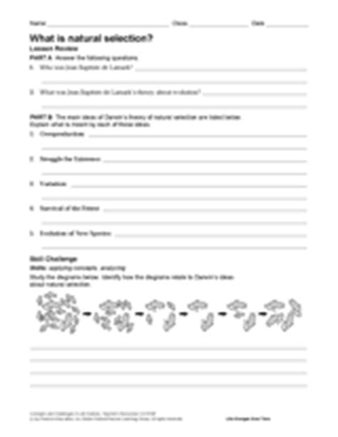 Worksheets are natural selection work answers darwins natural selection work answers work lamark. What Is Natural Selection? Printable (6th - 12th Grade) - TeacherVision