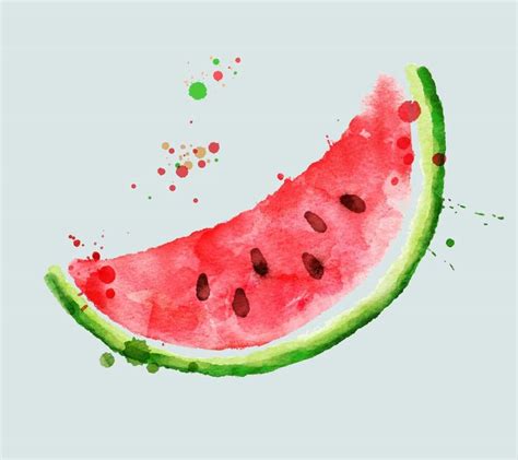 2,000+ vectors, stock photos & psd files. Pin by Angel Ramírez on .s.? | Watermelon drawing, Watermelon images, Watercolor paintings easy