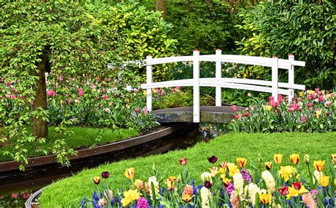 Hd Wallpaper Small Garden Pond With Bridge Spring Flowers Hd