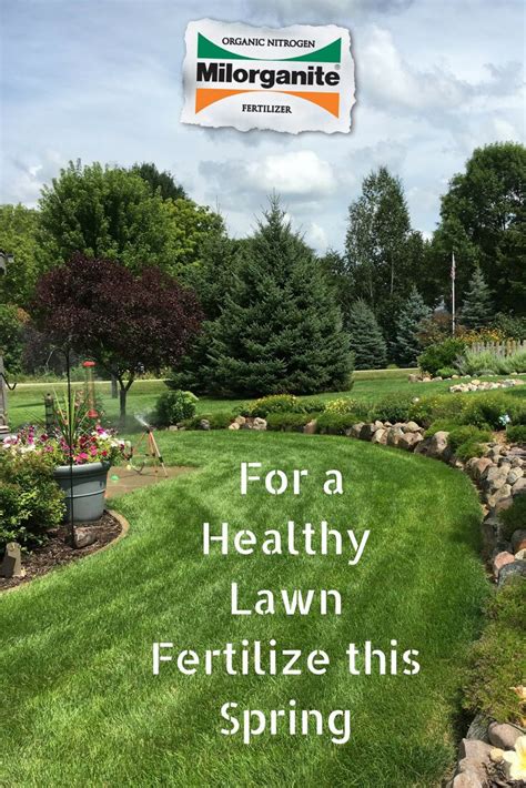 Tips on caring for lawns in spring. Best Fertilizer For Lawns In Spring | Cromalinsupport