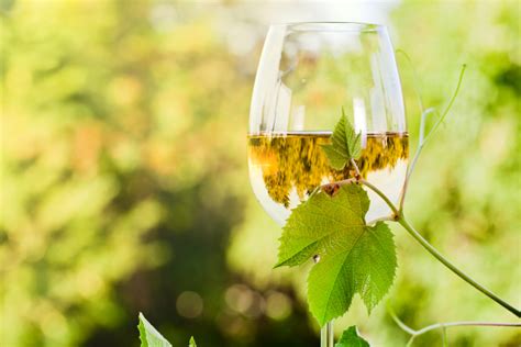 What Is A Dry White Wine Driest White Wines For 2024 Cozymeal