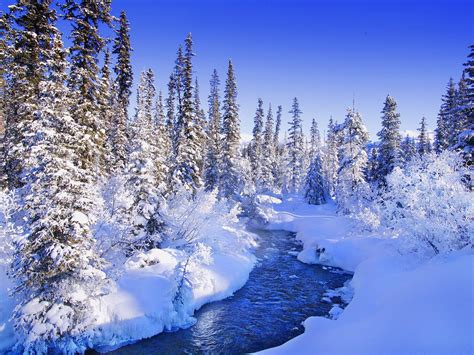 Nature Landscape Winter Wallpaper