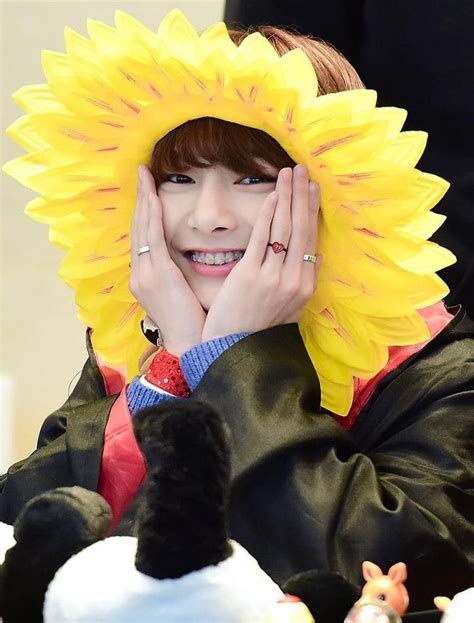 Daily Innie On Twitter Our Sunflower