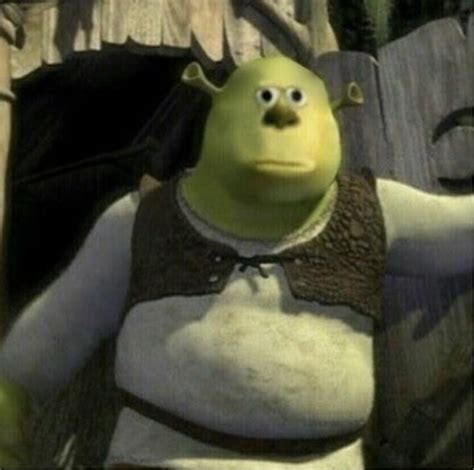 Shrek 5 Looking Kinda Lit 😳 Rcursedimages