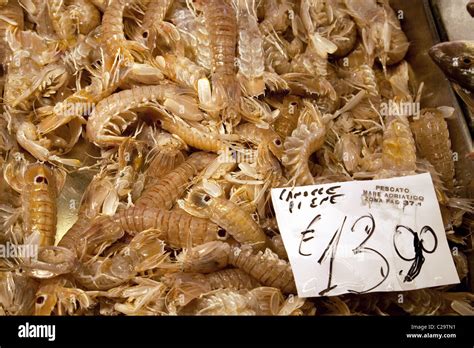 Prawns Shrimps Market Stall Hi Res Stock Photography And Images Alamy