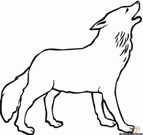 Supercoloring.com ist ein riesenspaß für alle altersstufen, für jungs und mädchen, kinder und erwachsene, teenager und kleinkinder, vorschüler und ältere schulkinder. Ausmalbilder Wolf zum Ausdrucken - 1Ausmalbilder.com ...