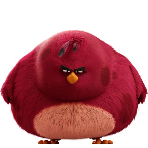 Incredible Compilation Over 999 Angry Bird Images In Stunning 4k Quality