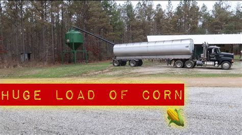 Huge Load Of Corn 🌽 🌽🌽 We Was Out Youtube