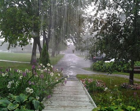 Pin By Lynn Adams On Weathery Days I Love Rain Summer Rain Nature