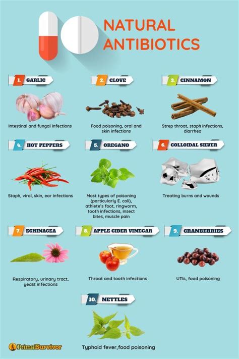 10 Natual Antibiotics For Everyone And How To Use Them How Many Of