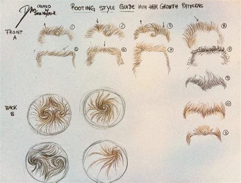 Hair Growth Patterns For Rooting Drawing By Doris Moyers H Fine Art