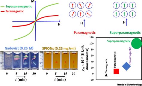 Magnetic Levitation Systems For Disease Diagnostics Trends In