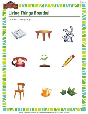 Collection by emma lewis • last updated 4 hours ago. Living Things Breathe - Kindergarten Science Worksheets - SoD