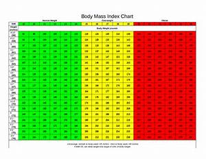 Body Mass Index Chart Sample Edit Fill Sign Online Handypdf