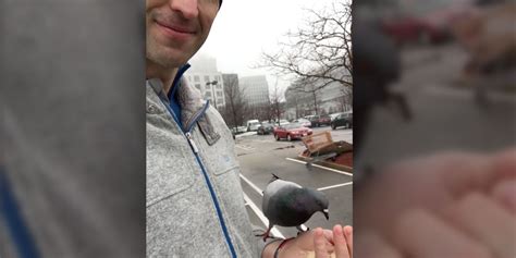 Zdeno Chara Feeds Pigeons From His Hand In Tender Instagram Video