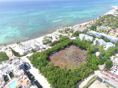 Reserva vuelos baratos hacia playa del carmen: Piden firmas para salvar el último manglar en Playa del ...