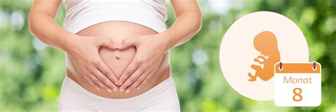 8 monat schwanger alles zum 8 schwangerschaftsmonat hipp