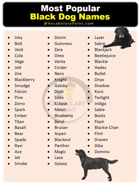 800 Black Dog Names Ideas For Both Males And Females Artofit