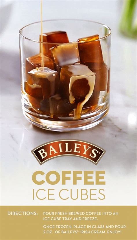 As 25 Melhores Ideias De Baileys Drinks No Pinterest
