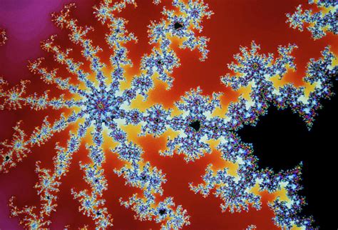 Fractal Geometry Detail From Mandelbrot Set Photograph By Dr Fred