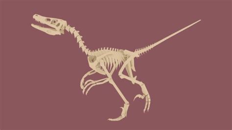 Velociraptor Project Render By Gedelgo Velociraptor Geometric Paper