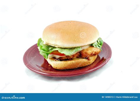Chicken Sandwich Stock Image Image Of Bread White Sandwich 1498513