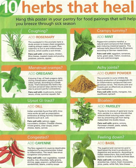 Herbs That Heal Healing Herbs Herbs Natural Health Remedies
