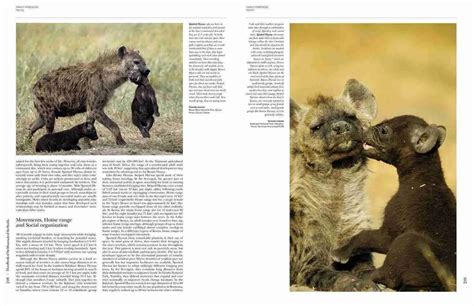 Handbook Of The Mammals Of The World Volume 1 Lynx Edicions