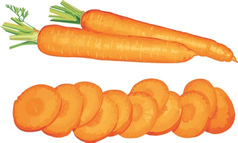 Clipart vegetables carrot, Clipart vegetables carrot ...