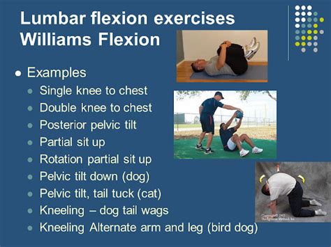 Williams Flexion Exercises