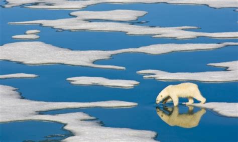 Arctic Ice Melting Faster And Earlier As Scientists Demand Action