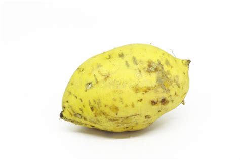 Sweet Potato Cilembu Ubi Cilembu