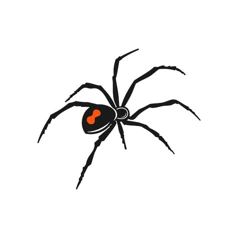 Premium Vector Black Widow Spider Illustration