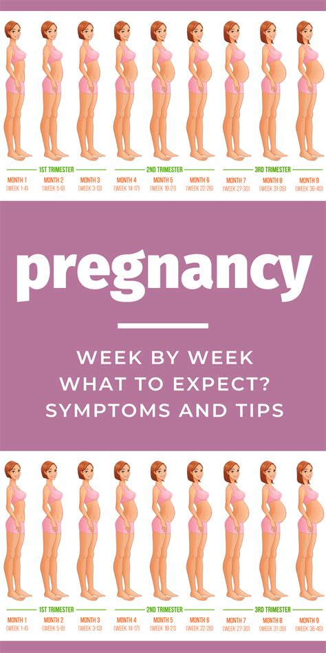 Week By Week Pregnancy Symptoms Tips Advice Guide 1st Trimester