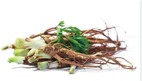 Entengo And Mulondo Is An Ancient African Herb For Men Which Help Boost