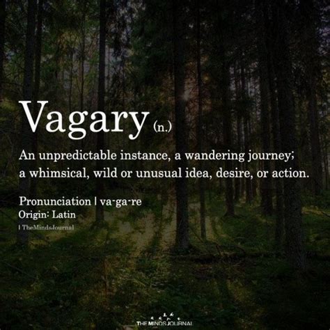 pin by arshia on words nature words weird words unusual words