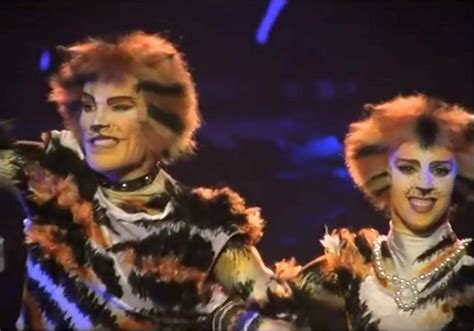 Cats 1998 Cats The Musical Costume Jellicle Cats Cats Musical
