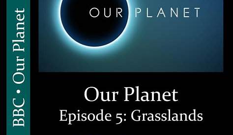Our Planet From Deserts To Grasslands Worksheet Answers