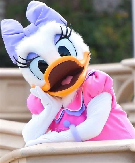 Pin By Bri Shea On Disney Love In 2021 Disney Parks Daisy Duck