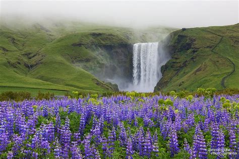30 Epic Places To Get Married In Iceland Katie Bertagnolli