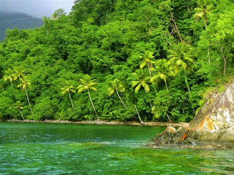 Wyattsailing Dominica The Nature Isle Of The Caribbean