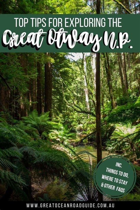 Top Tips For Exploring The Great Otway National Park Great Ocean Road