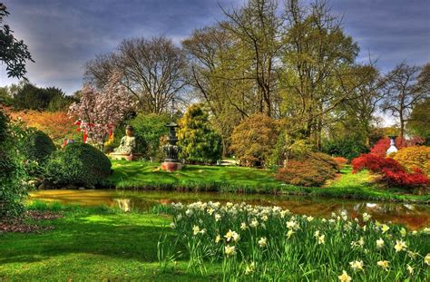 How to setup a wallpaper android. Germany Hamburg Japanese garden nature Park pond school - Phone wallpapers