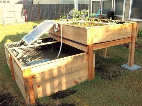 Backyard Aquaponics System By Renewable Diy — Kickstarter Backyard