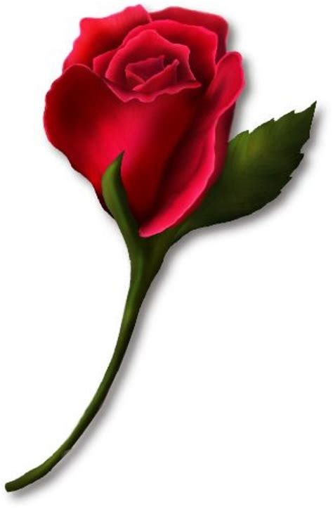 Red Rose Flower Clip Art Clipart Best